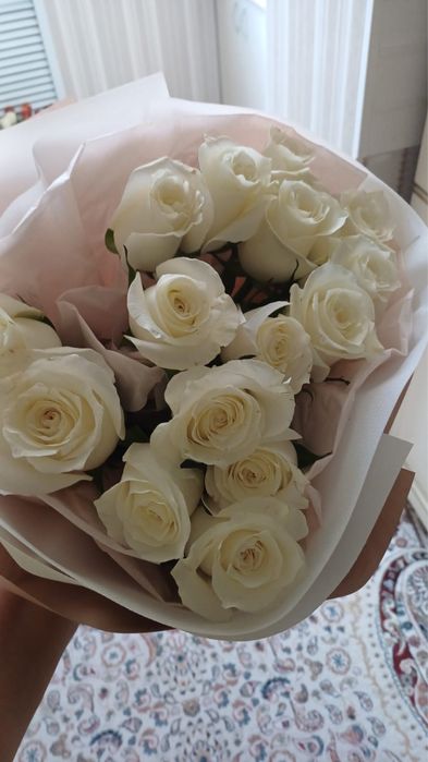 Свежий гул жана келді