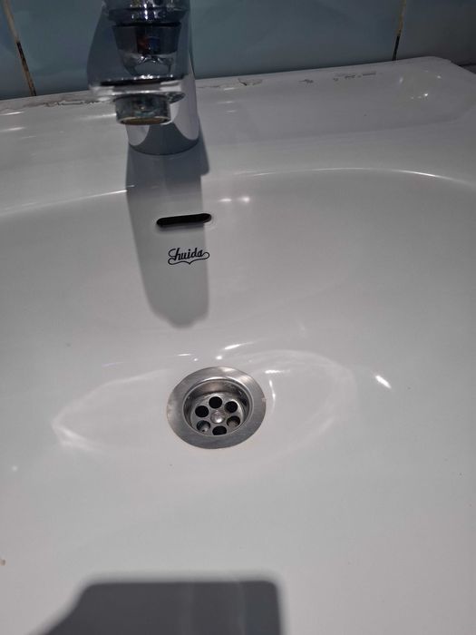 Продам тюльпан с раковиной