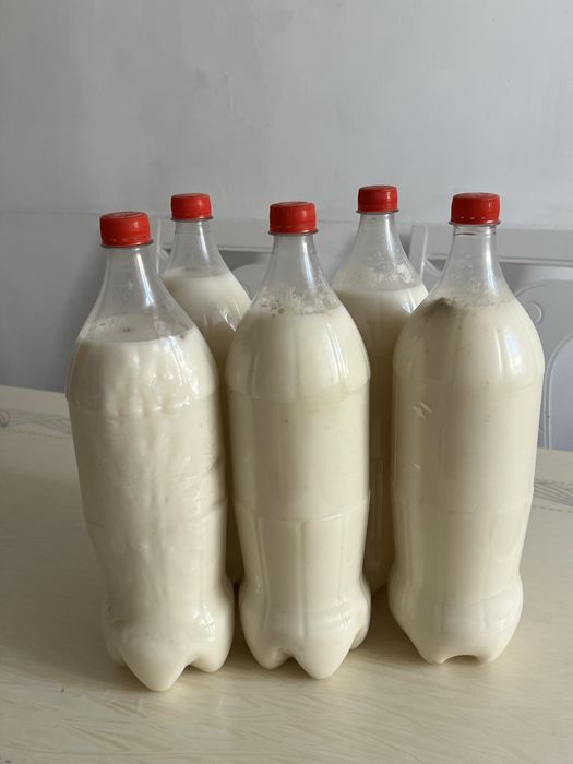 Продаеться  кумыс