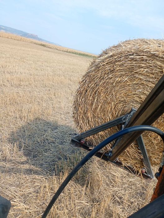 Vând baloți rotunzi paie 50 lei balotul