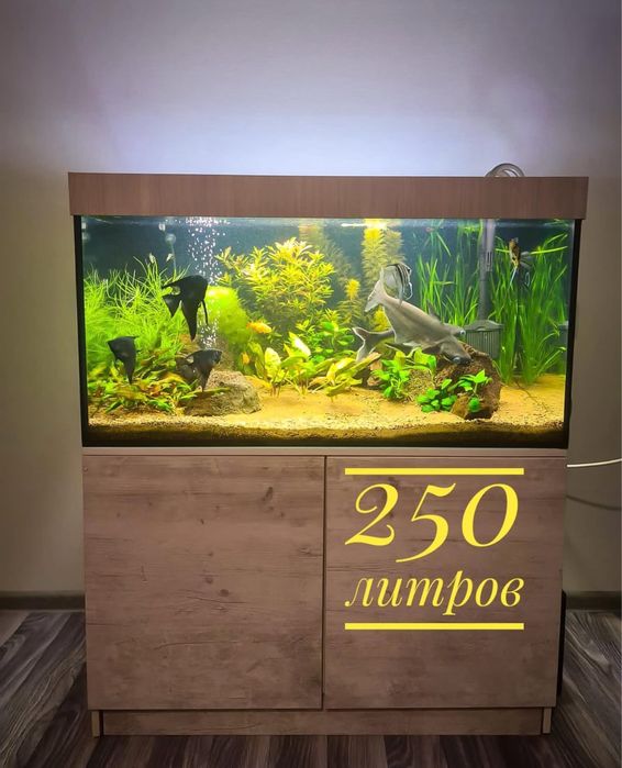 Аквариумы эксклюзив под заказ
