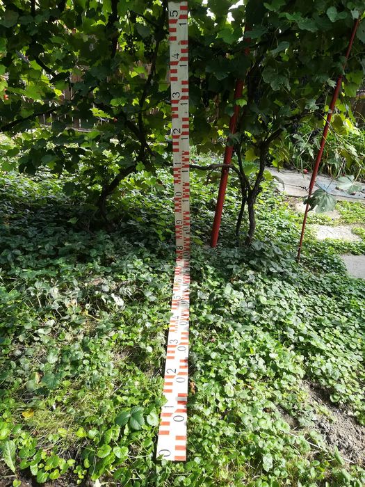 Miră (stadie) topografică vintage