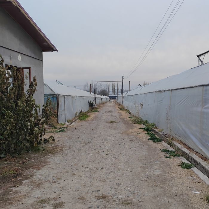 Teplitsa ferma 2.6 gektar nazarbe muzimpix tarafta sotiladi