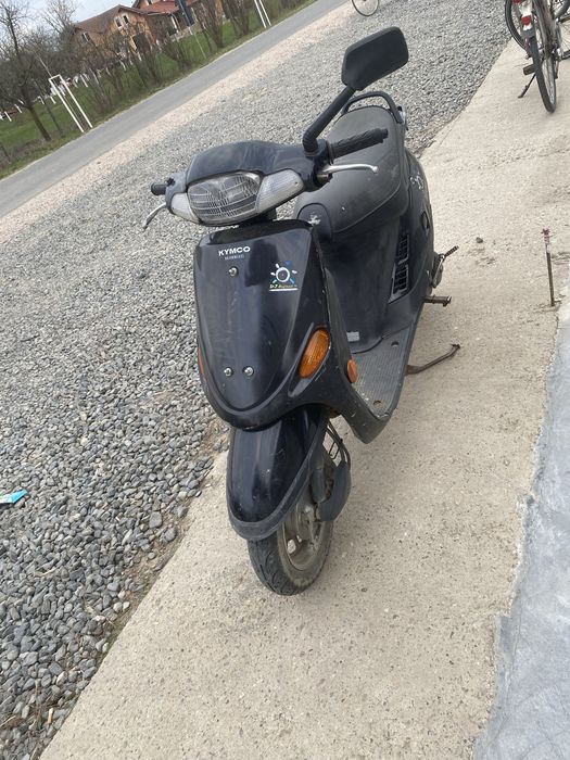 De vazare pornire la rece grau are acte de austria