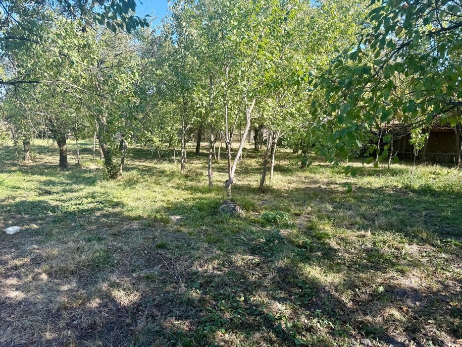 De vanzare casa in Tătărani Dambovita