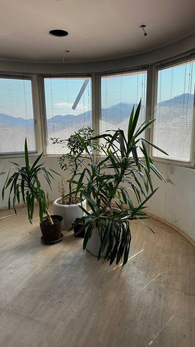 Продава се Къща в Смолян, в.з. Смолян - 270 кв.м за 575 €/кв.м - Снимка #6