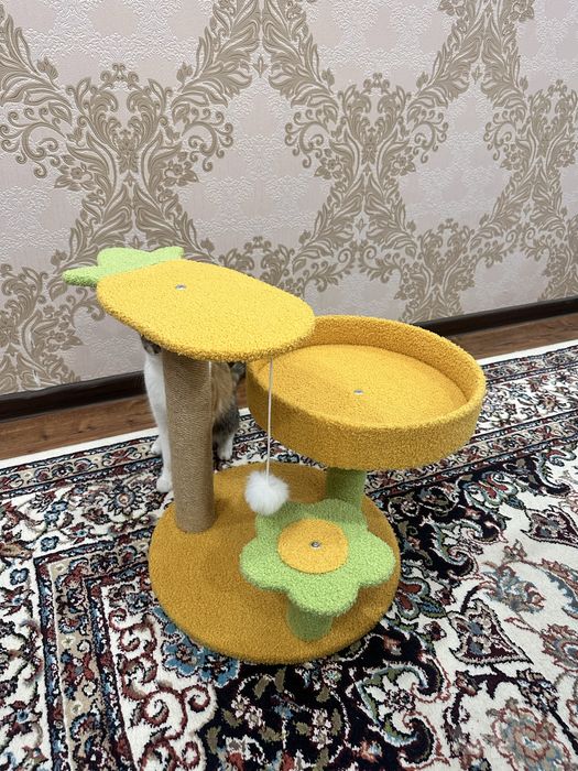 Кошачий домик в продаже