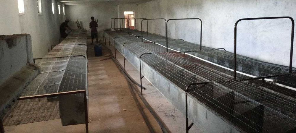 1000 дон қуёнга мулжалланган  клетка(қафас)лар арзон нархларда сотилад