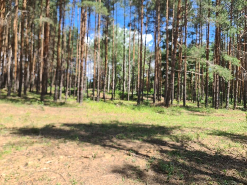 Продава се Парцел в Казанлък - 6200 кв.м за 10 €/кв.м - Снимка #2