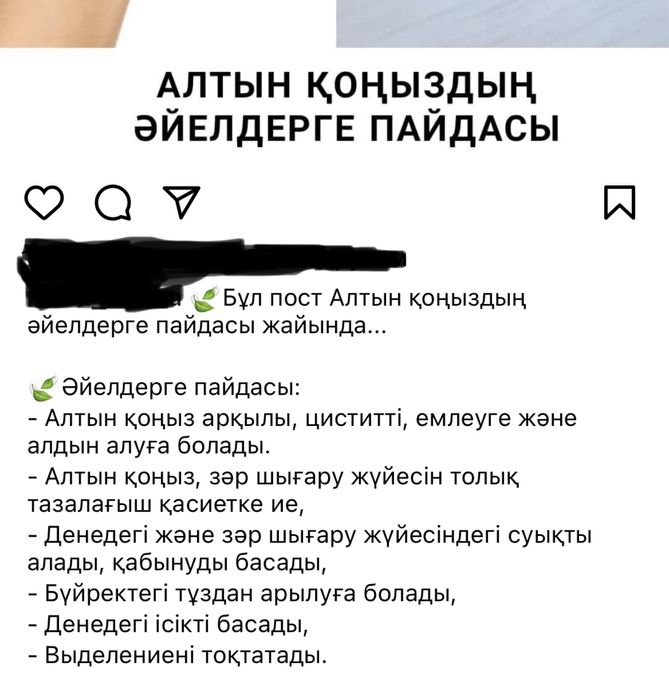 Алтын коныз, Майский жук