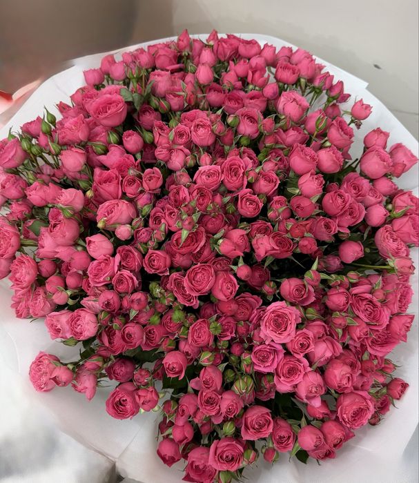 Продам цветы.              .