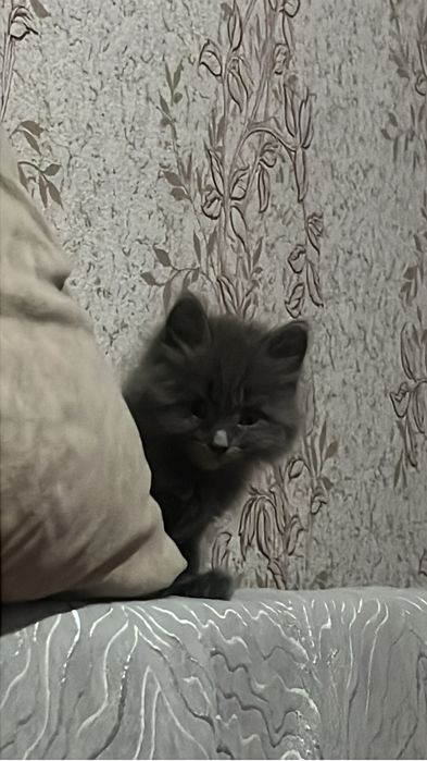 Хорошый позитивыный