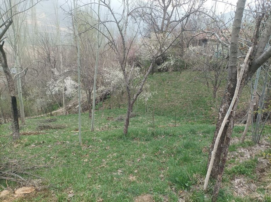 Yer sotiladi srochna 10 sotix Bo'stonliqda