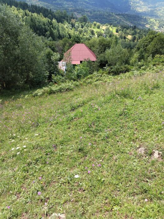 Vand teren intravilan in Borsa Maramures, construibil