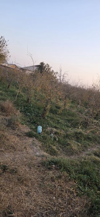 10 sotix  tomorqa  sotiladi