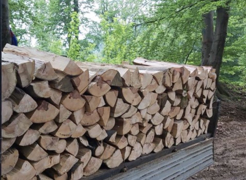 Lemne de foc esenta tare (Fag,carpen, stejar)