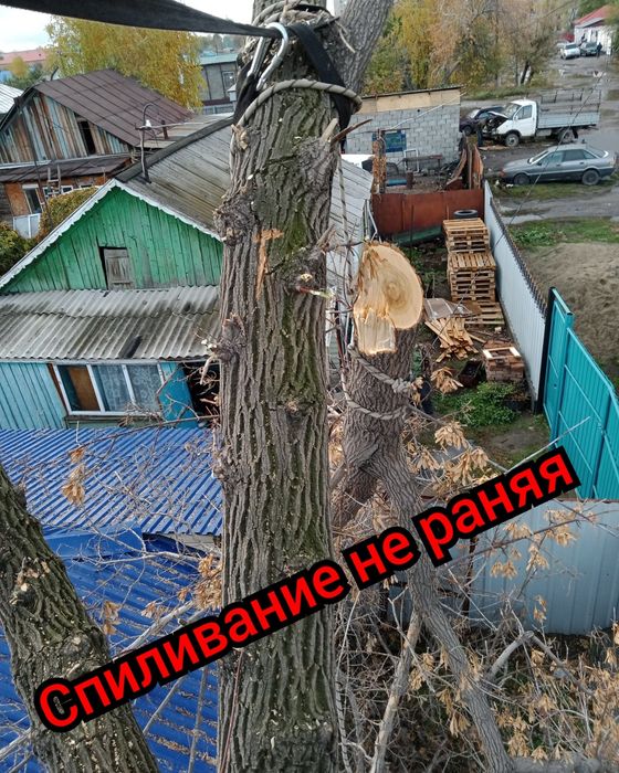 Спил опасных деревьев