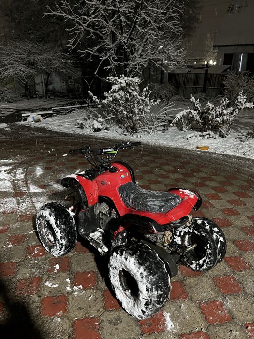 Квадроцикл ATV110