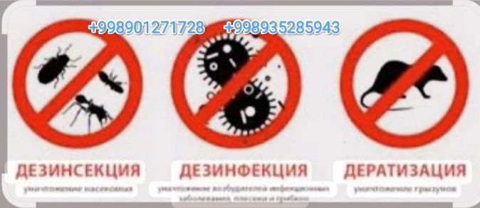 Дезинфекция - дезинсекция - дератизация