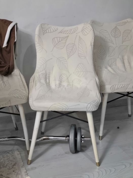 Стулья стул для кухни зала