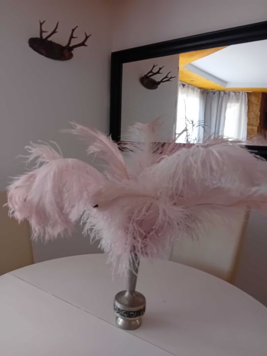 Pene de strut diferite culori