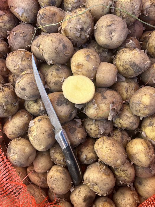 Продам картофель 80