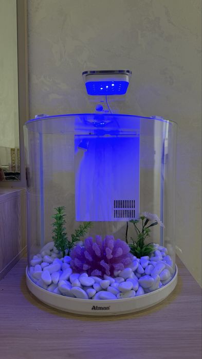 Аквариум с подсветкой