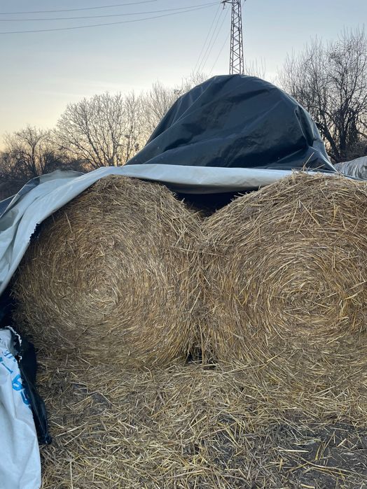 Бали слама рола.