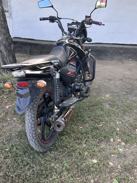 В продаже Alpha Sport Pro 125