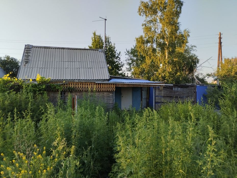 Продам дачу р-он Акжар