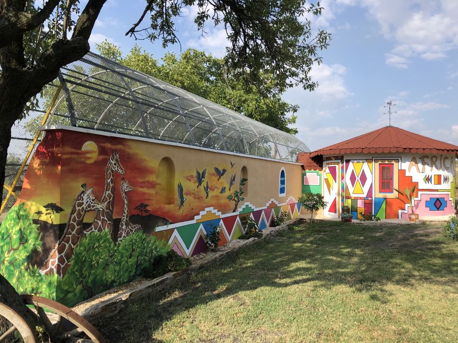 Папагали Жако-Конго