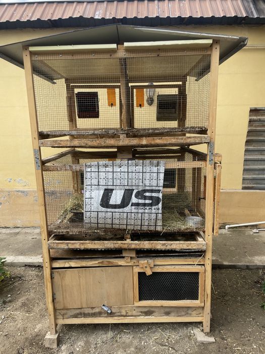 Quyon ini kaletka kafasa