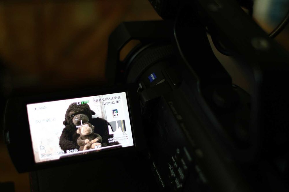Профессиональная видеокамера Sony PXW-X70