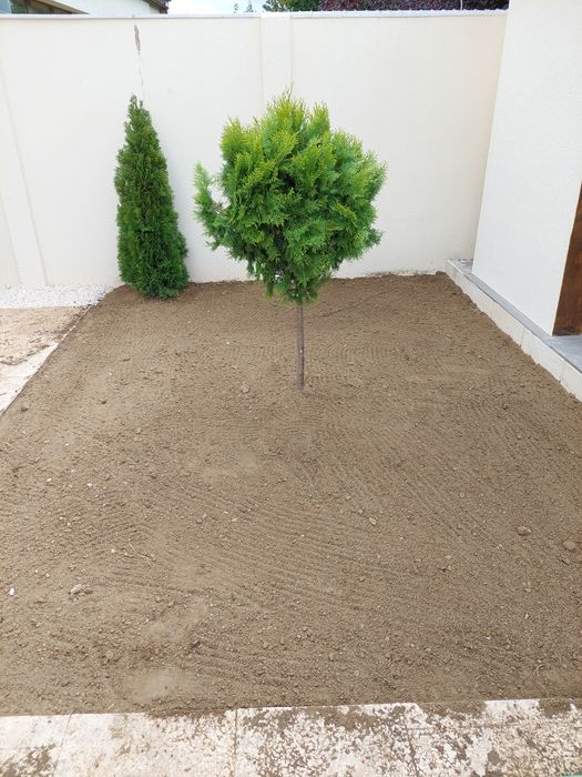 Amenajări grădini ,gazon rulou