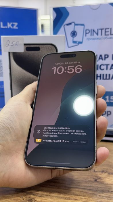 Ip 15 pro 256gb 86% Pintel.kz