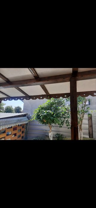 Stâlpi și grinzi terase ArcestiCot • OLX.ro