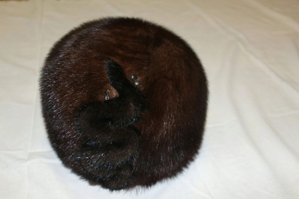 Продам норковую шапку