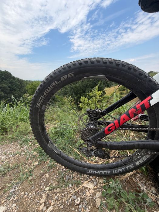 Giant glory downhill