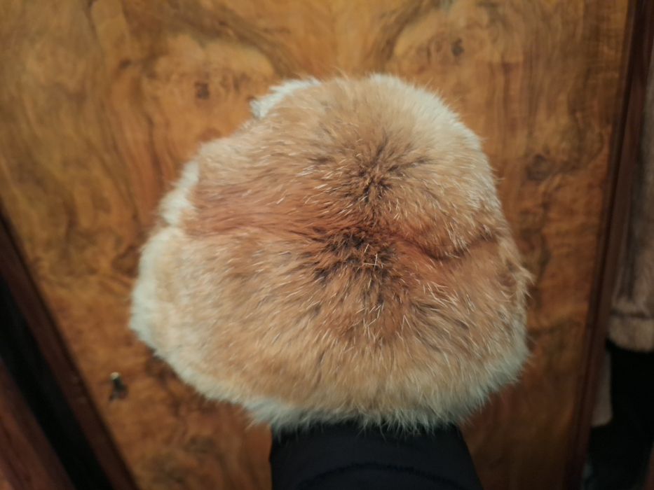 Căciulă de vulpe polara