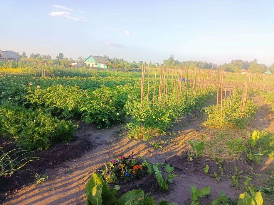 Продам дачу Новопавловка Ст Энергетик 2