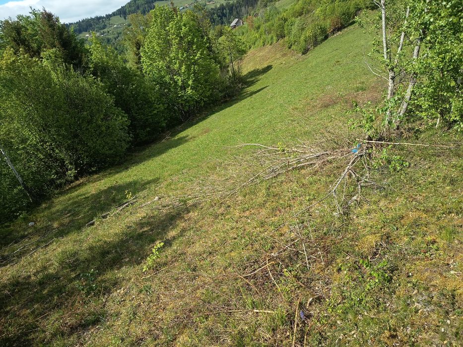 Teren  Comuna Horea-Alba