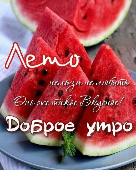 Продам дачу ПК автомобилист