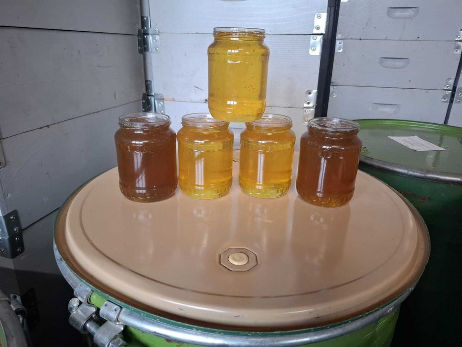 Vand miere de salcam 30lei/kg