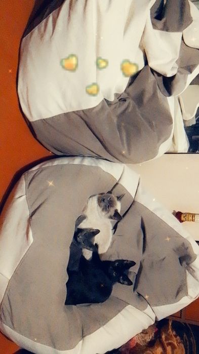 Продам без каркасное кресло