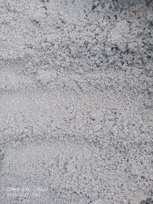 Продам крошка ...