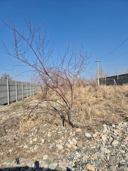 Продам земельный участок