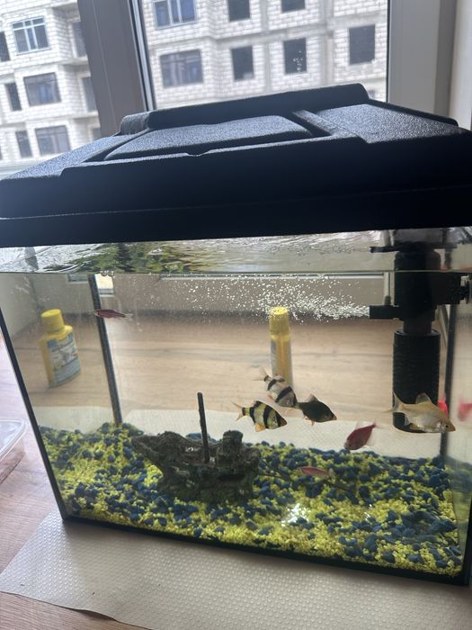 Продается аквариум в отличном состоянии