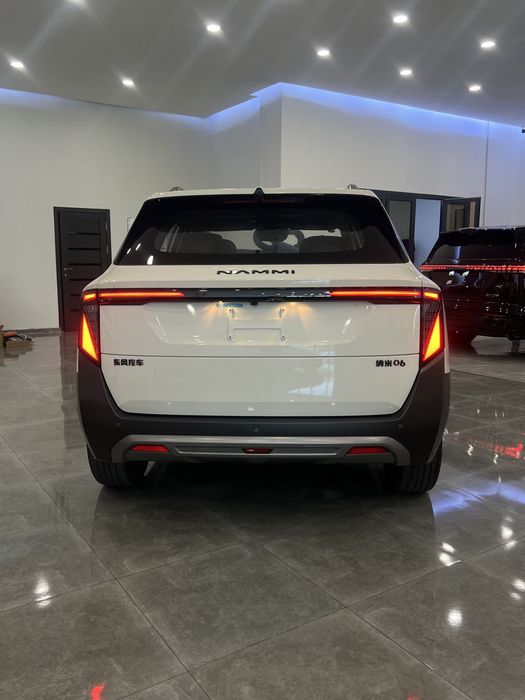 Dongfeng NAMMI 06 2026