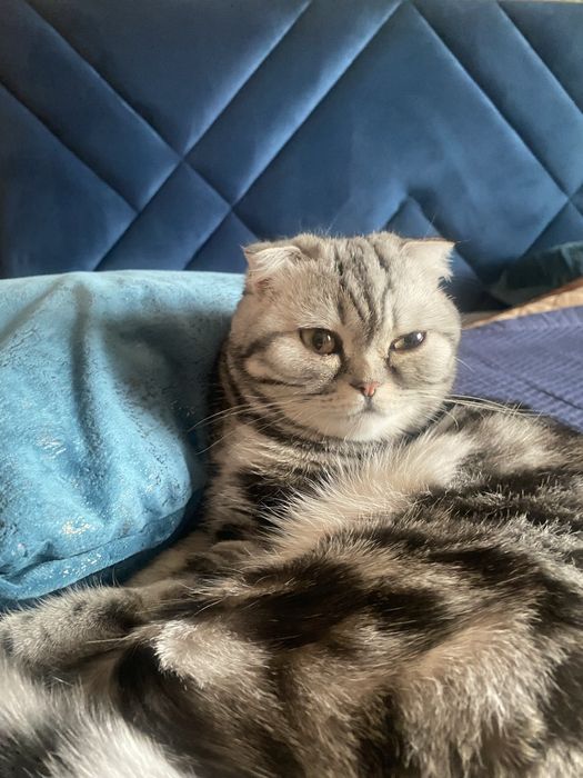 Дарам хорошые руки в центре