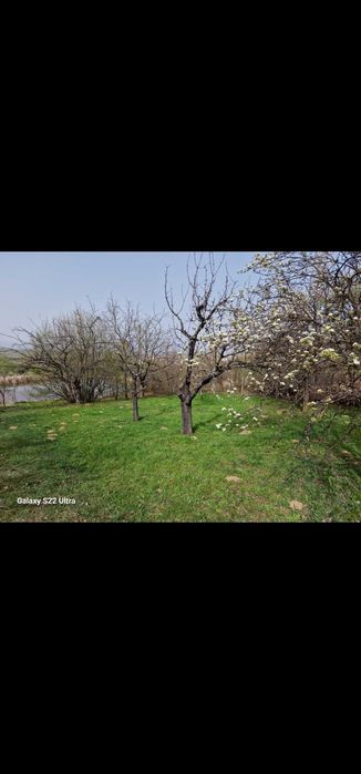 Продава се Парцел в Кюстендил, Колуша - 600 кв.м за 21 €/кв.м - Снимка #13